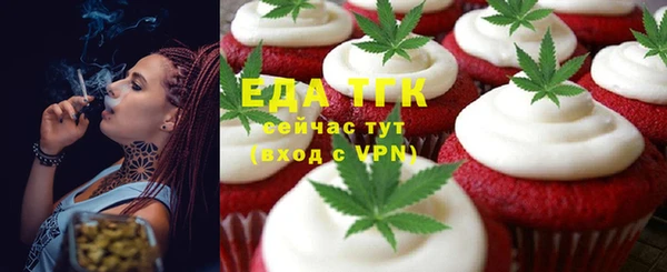 индика Алзамай
