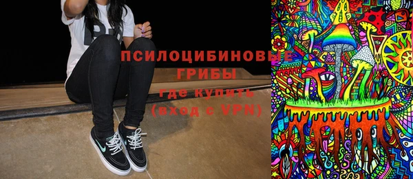 индика Алзамай