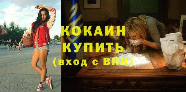 индика Абинск