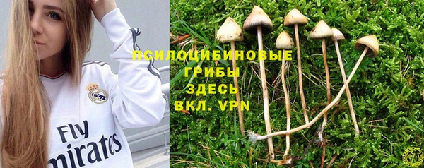 индика Абинск