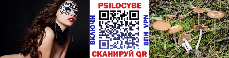 Псилоцибиновые грибы мухоморы  Тында 